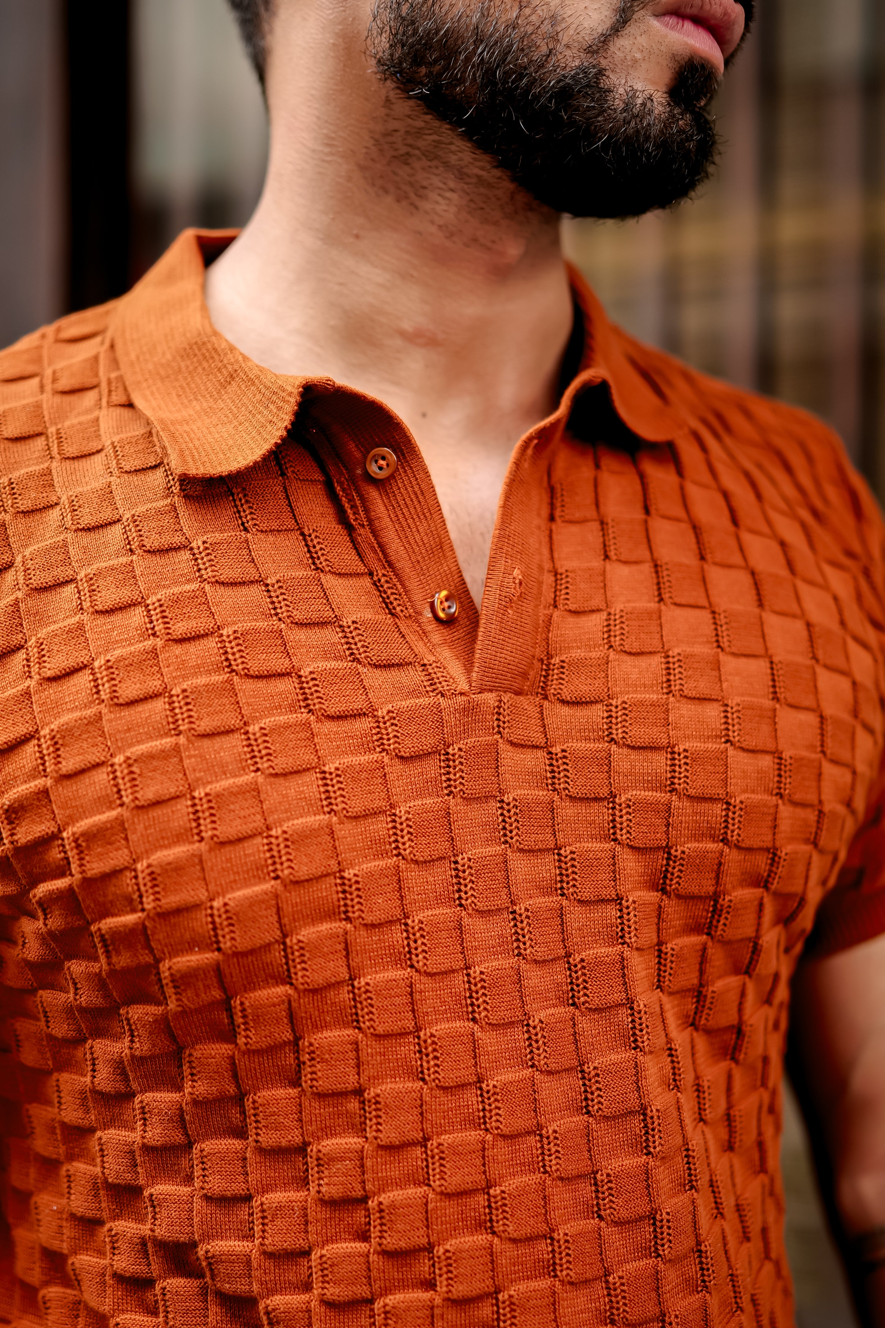 Brown Textured Flat Knit Polo T-Shirt